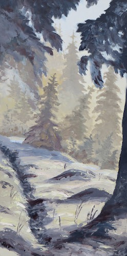 Lumiere hivernale - 500